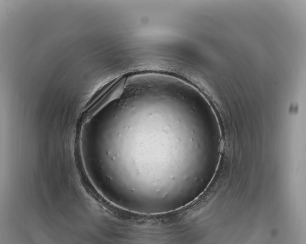 X0000094360434200711091518
