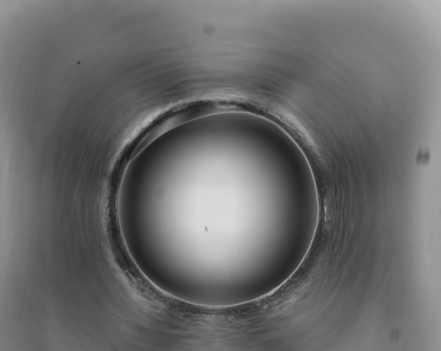X0000094360436200711091518