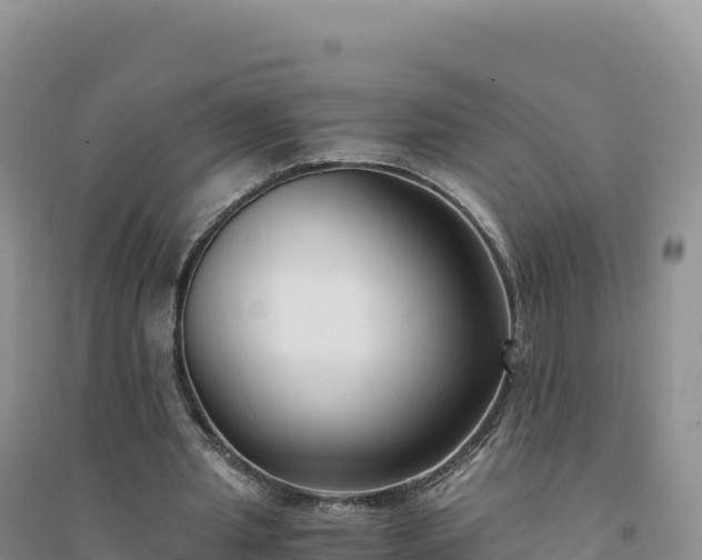 X0000094360437200711091518