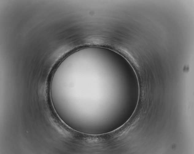 X0000094360439200711091518