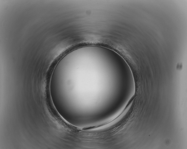 X0000094360440200711091518