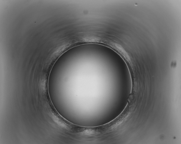 X0000094360441200711091518