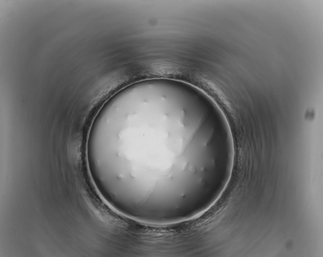 X0000094360443200711091518
