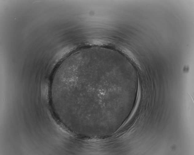 X0000094360444200711091518