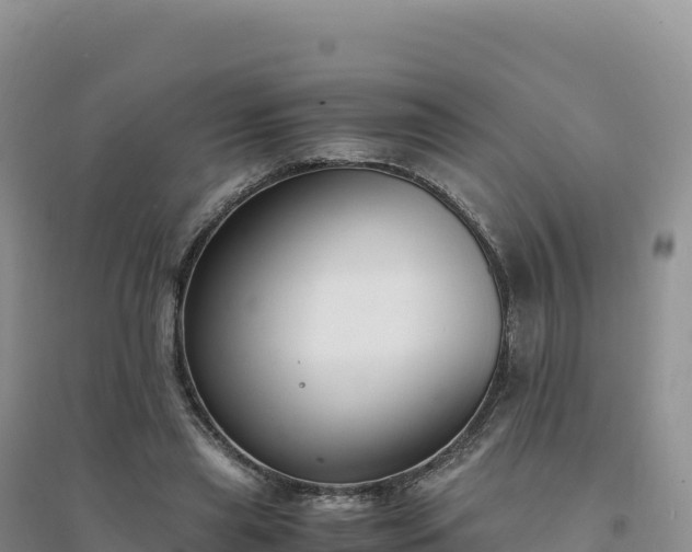 X0000094360445200711091519