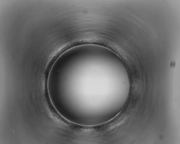 X0000094360446200711091519
