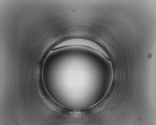 X0000094360448200711091519