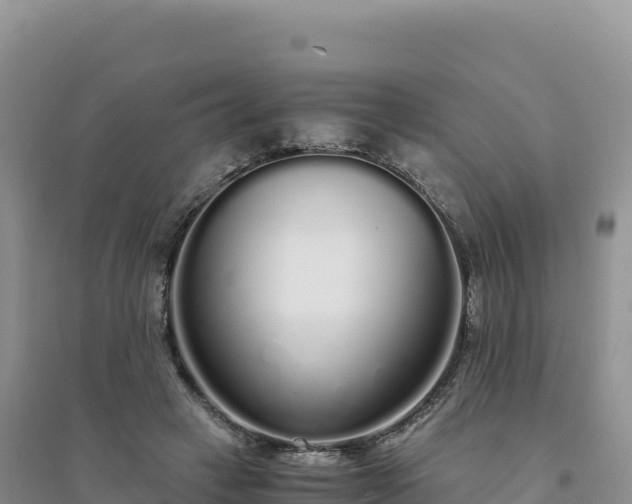X0000094360449200711091519