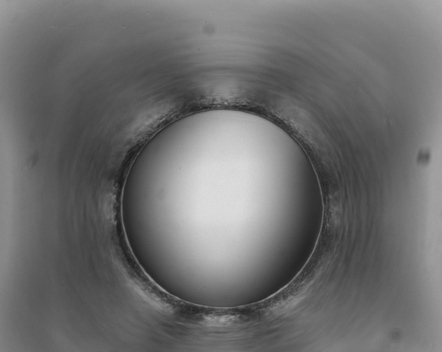 X0000094360450200711091519