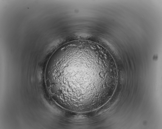 X0000094360451200711091519