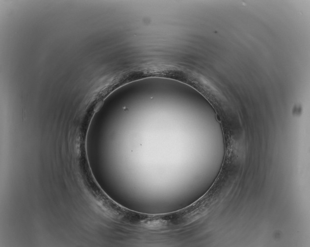 X0000094360452200711091519