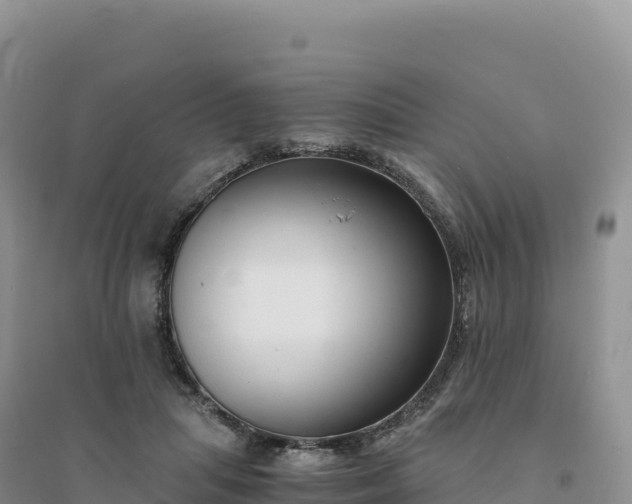 X0000094360455200711091519