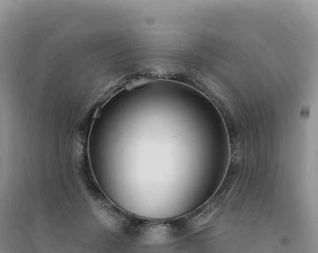 X0000094360456200711091519