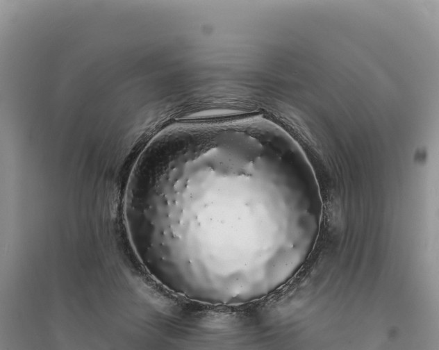 X0000094360458200711091519