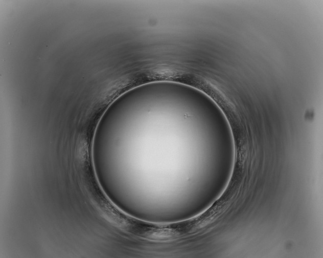 X0000094360459200711091519
