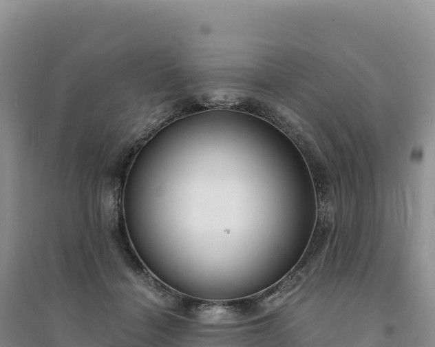 X0000094360460200711091519