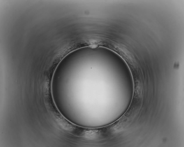 X0000094360461200711091519