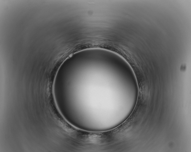 X0000094360462200711091519