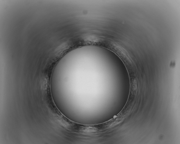 X0000094360463200711091519