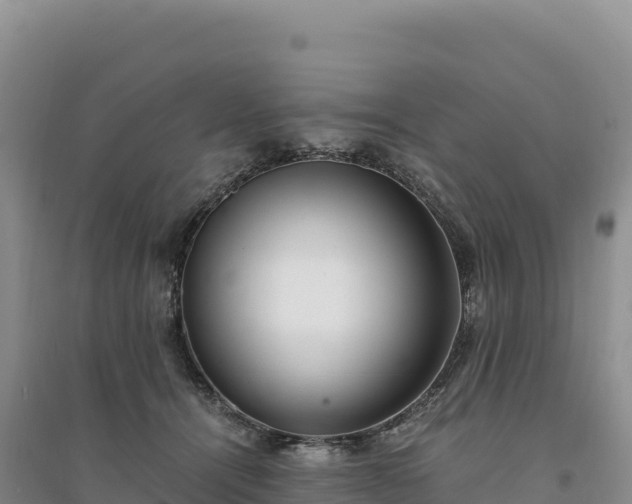 X0000094360464200711091519