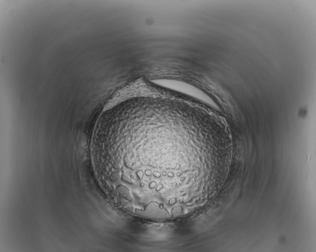 X0000094360465200711091519