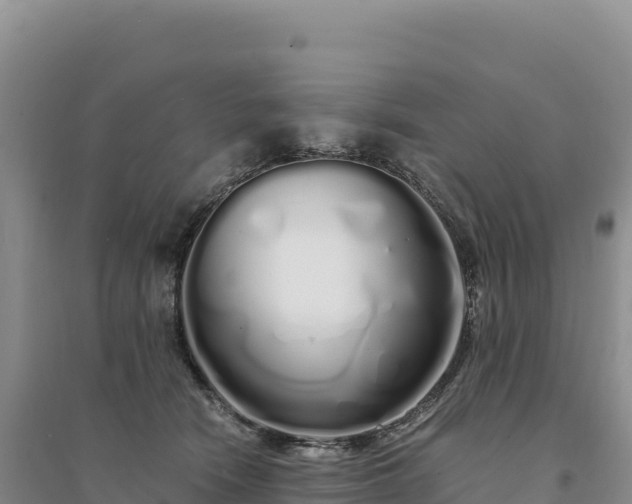 X0000094360466200711091519