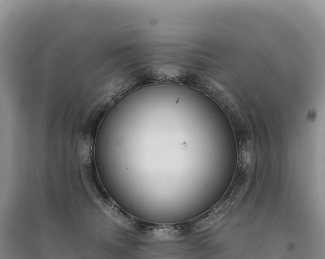 X0000094360468200711091519