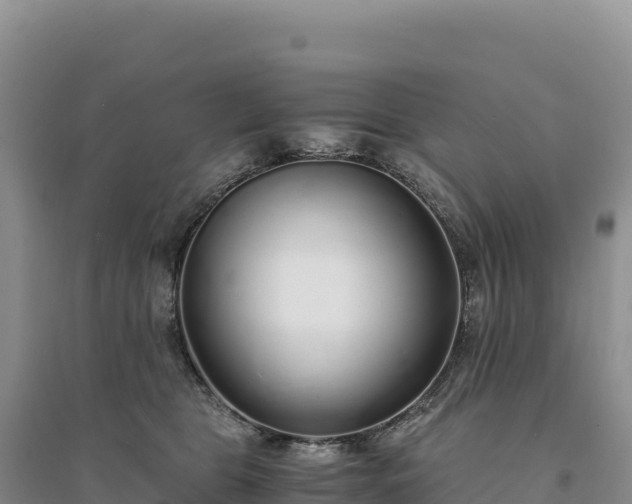 X0000094360469200711091519