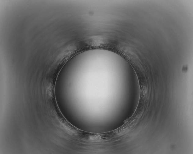X0000094360470200711091519