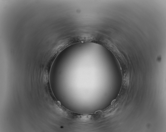 X0000094360474200711091519