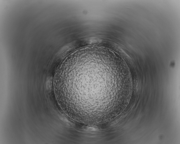 X0000094360475200711091519