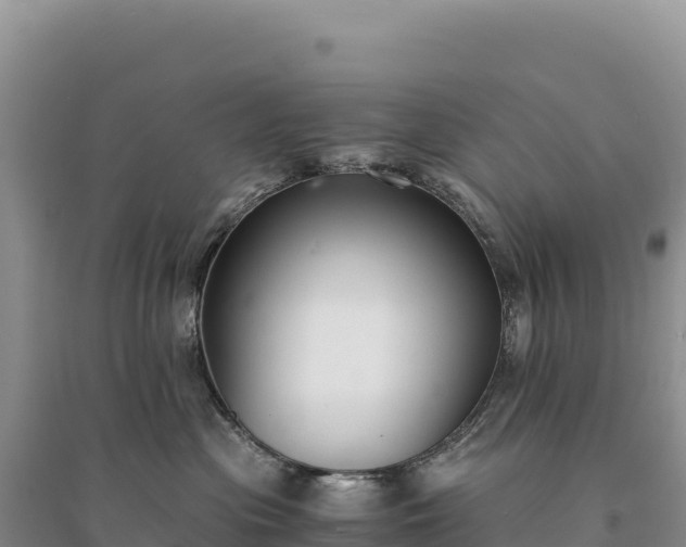 X0000094360477200711091519