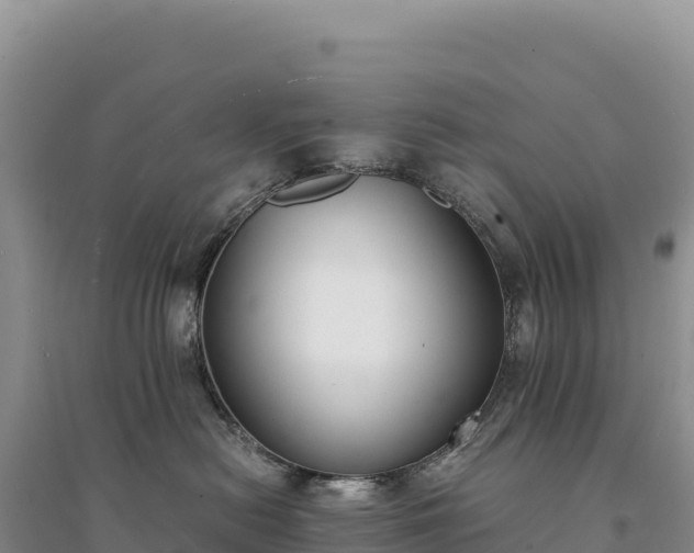 X0000094360478200711091519