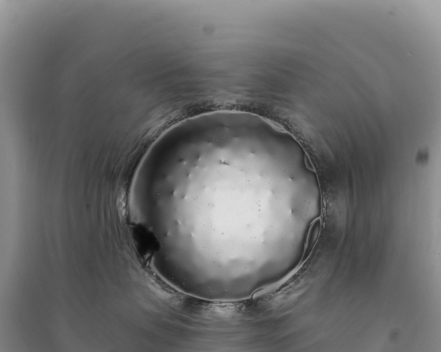 X0000094360479200711091519