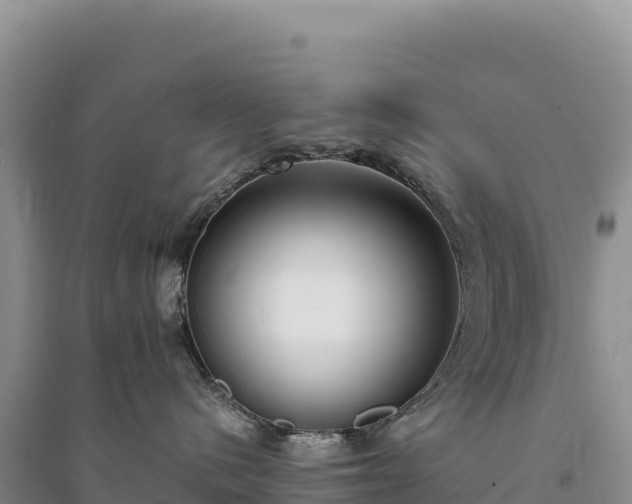 X0000094360480200711091519