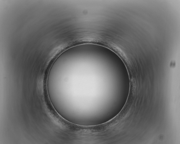 X0000094360482200711091518
