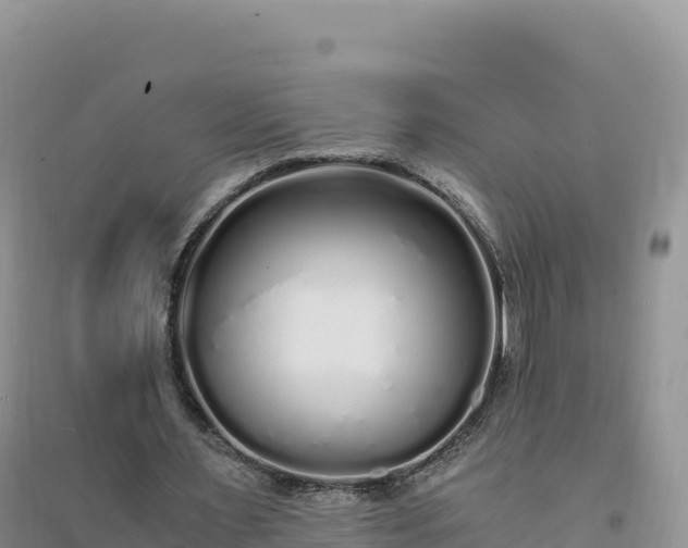 X0000094360483200711091518
