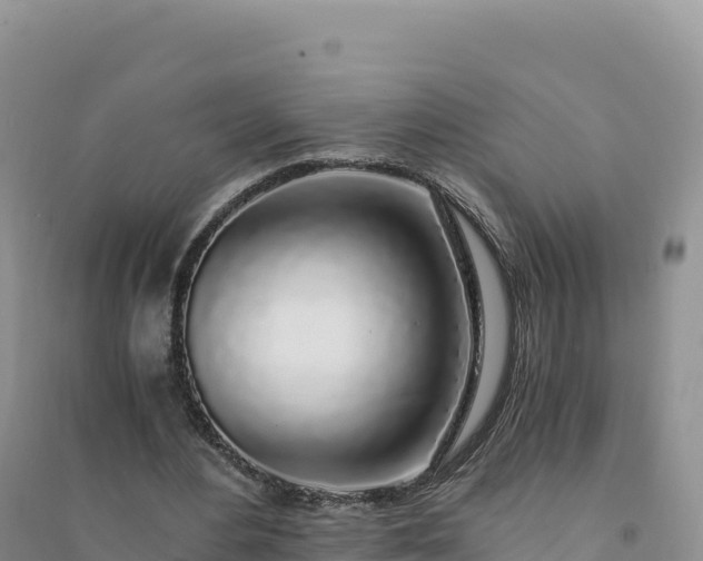 X0000094360484200711091518