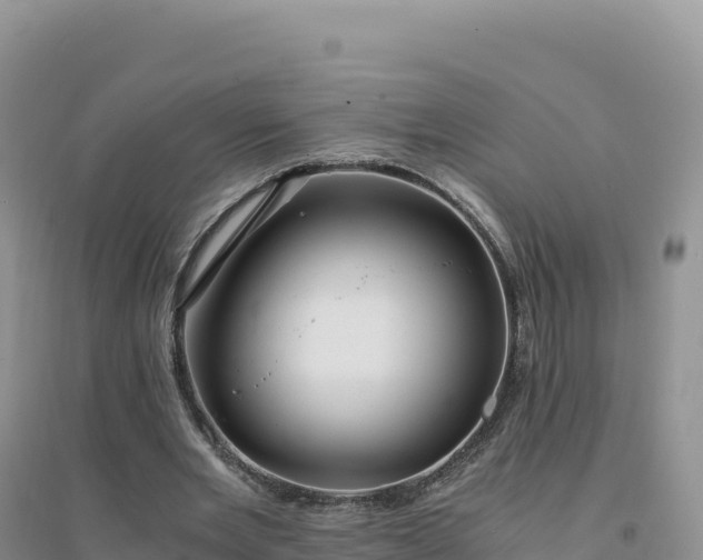 X0000094360485200711091518