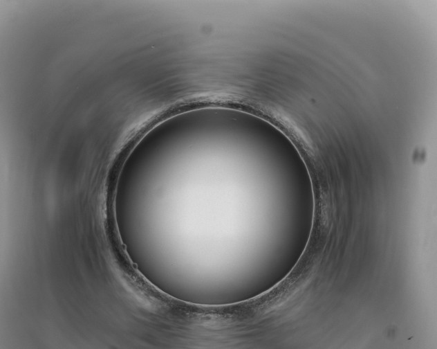 X0000094360486200711091518