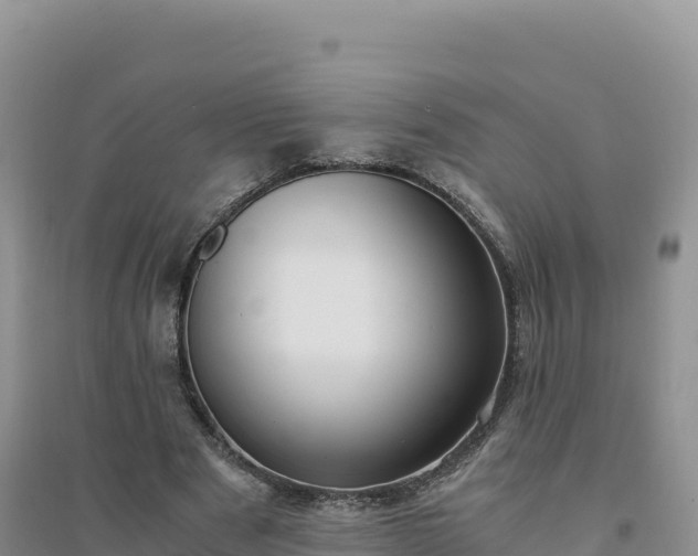 X0000094360489200711091518