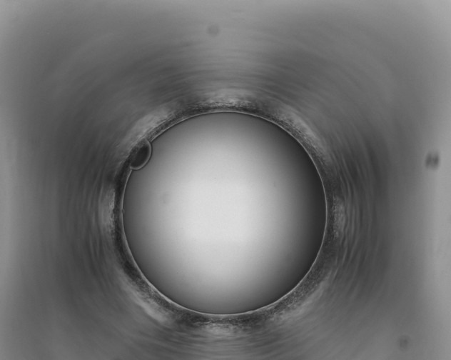 X0000094360490200711091518