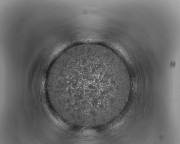 X0000094360491200711091518