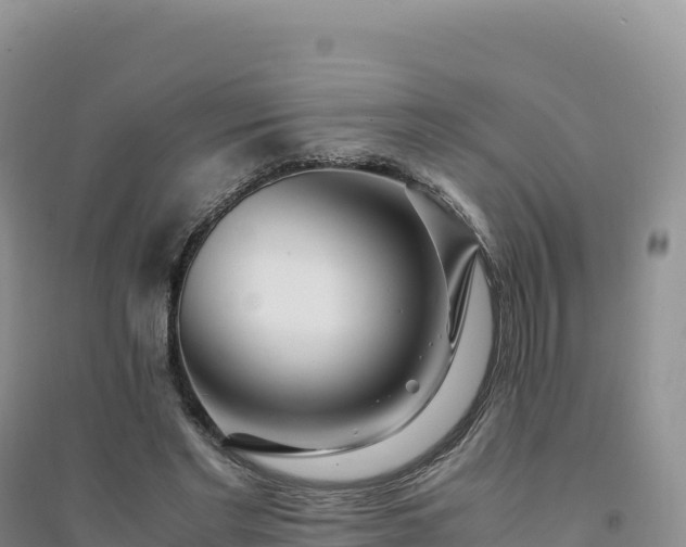 X0000094360493200711091518