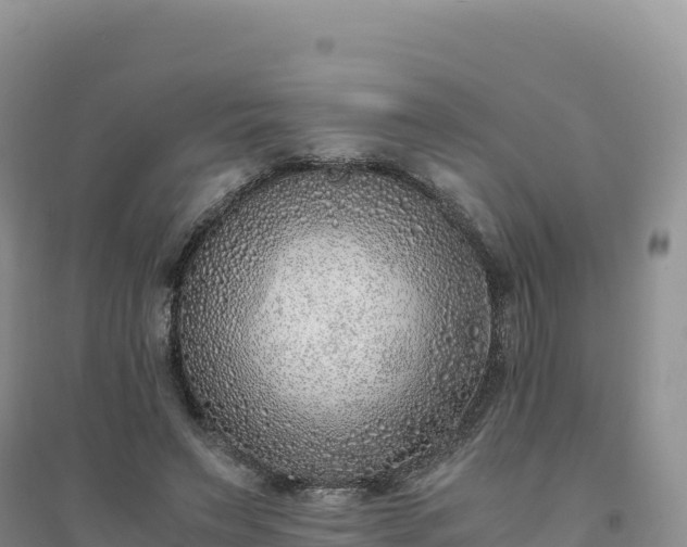 X0000094360495200711091518