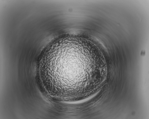 X0000094360496200711091518
