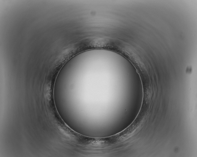 X0000094360497200711091518