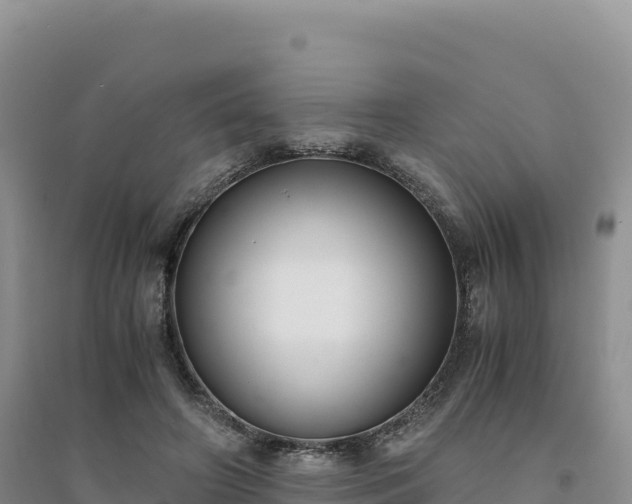 X0000094360498200711091518