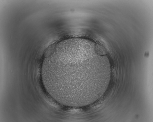 X0000094360499200711091518