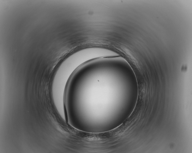 X0000094360500200711091518